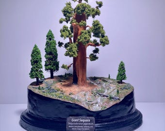 Giant Sequoia 2025 - Sculpture 7 x 8 Inches