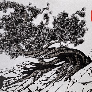 Krummholz Pine - Original Ink Painting - 7x10 Inches