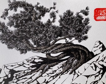 Pino Krummholz - Pintura original en tinta - 18 x 25 cm