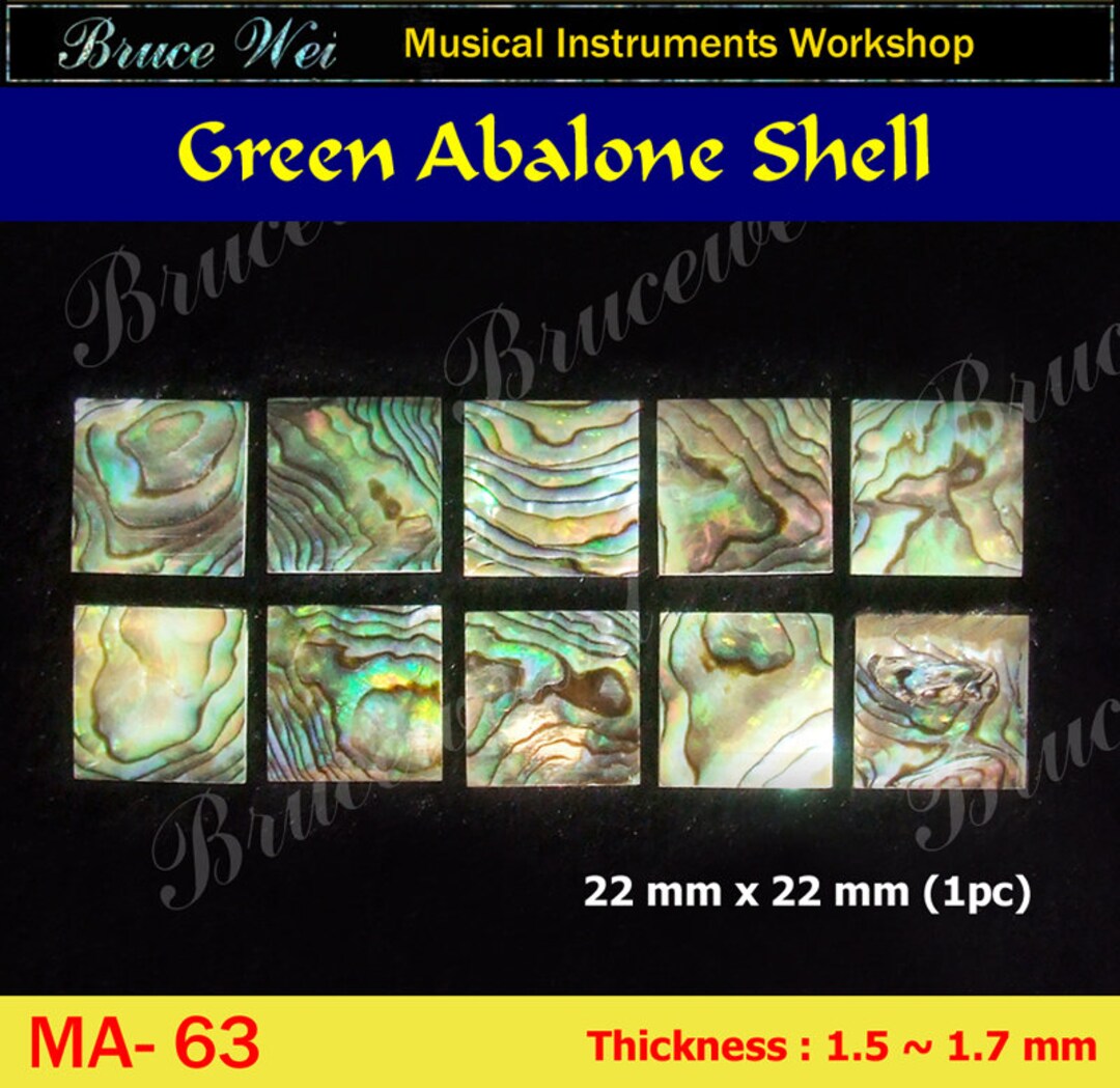 Bruce Wei Green Abalone Shell Inlay Material 10pcs MA63 Etsy