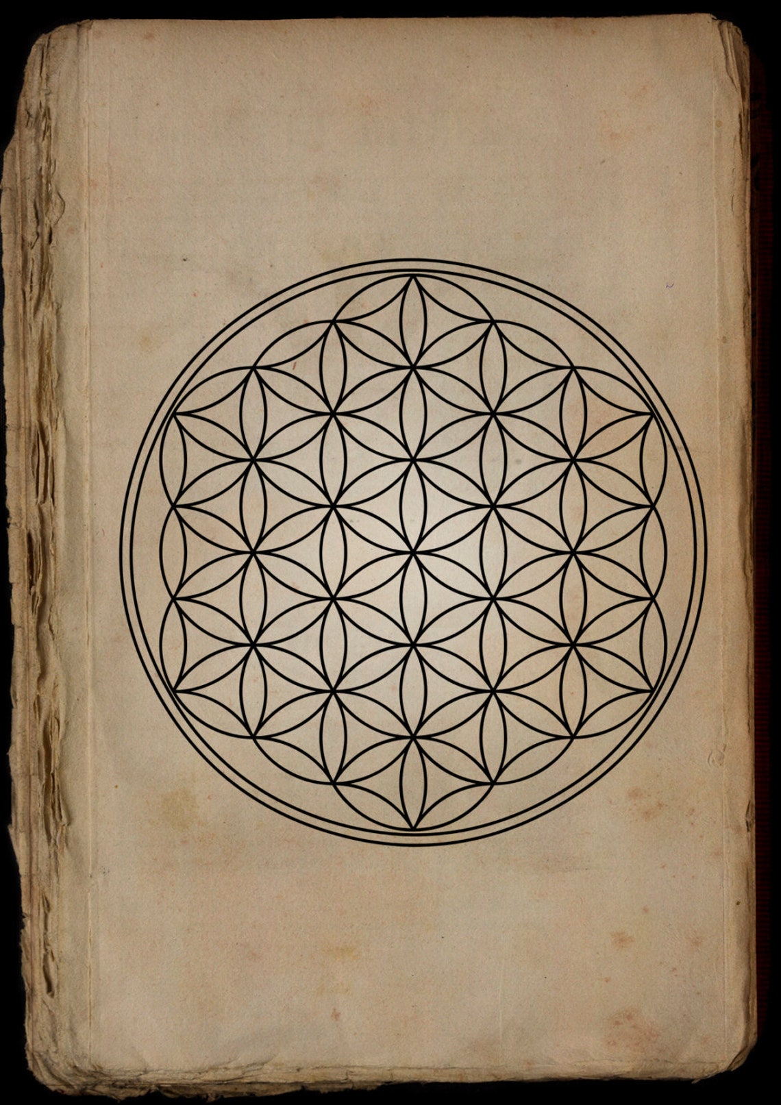 Flower of Life Printable Poster Sacred Geometry print | Etsy