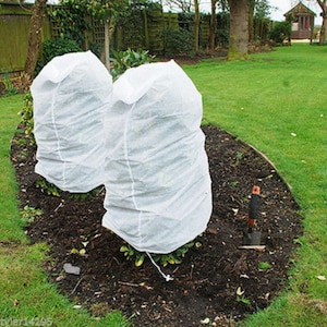 May include: Two white frost protection covers are placed over small trees in a garden setting. The covers are made of a breathable fabric and are designed to protect plants from cold weather.