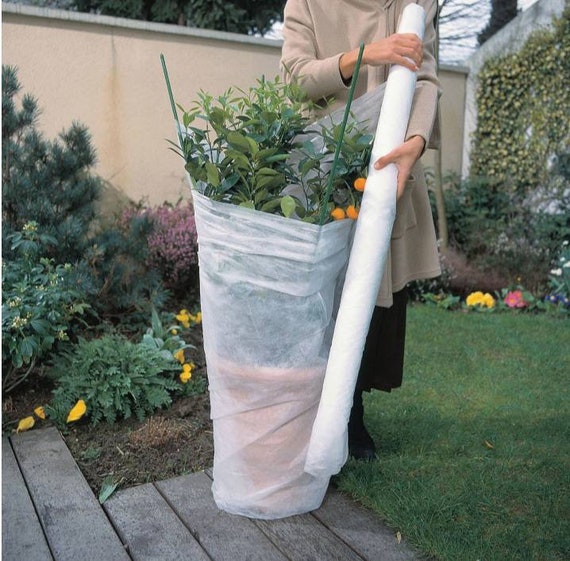 Fleece blanket for plants shop