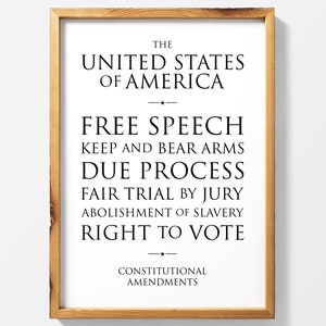 US Constitution print, art, poster, Constitutional law, first amendment, second, right to bear arms, free speech, West Wing, political gift