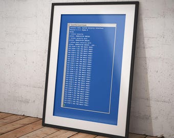 May include: A framed print of a blue computer screen with white text. The text reads "Central Park Control Console", "System Security Interface", "Version 4.0.5 Alpha 8", "Ready", "access: security", "access: TERMINATION grid", "access: PRIORITY grid", "access: main security grid", "access: PROMOTION DEVICE", "YOU DIDN'T SAY THE MAGIC WORD!" repeated many times.