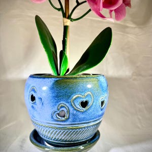 May include: A blue ceramic planter with heart-shaped cutouts, holding a pink orchid. The planter has a matching saucer and a textured design around the base. The orchid has green leaves and a wooden stem.