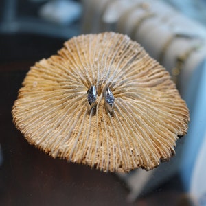 Pode incluir: Um par de brincos de prata com pequenas pedras transparentes engastadas em forma de ponta, expostos sobre uma superfície de coral de cor castanho claro.