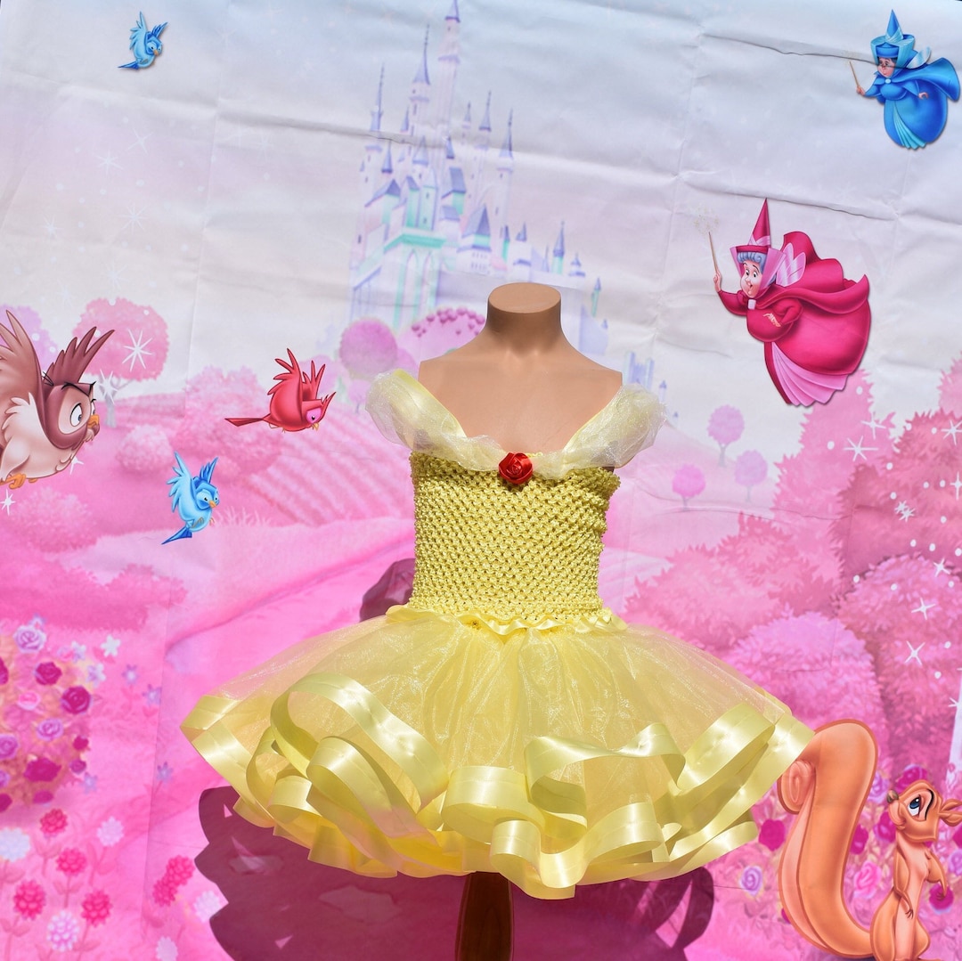 princess belle tutu dress Account Suspended