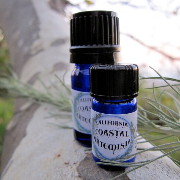 Aceite esencial de artemisa de California (Artemisia californica) elaborado de forma silvestre