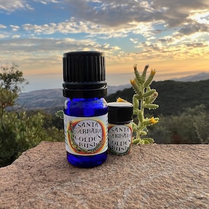 May include: Two blue glass bottles with black caps and labels that say "Santa Barbara Golden Bush". The bottles are sitting on a brown rock with a green plant in the background.