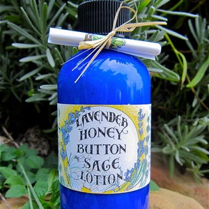 Lavender & Honey Button Sage Lotion (Salvia mellifora)