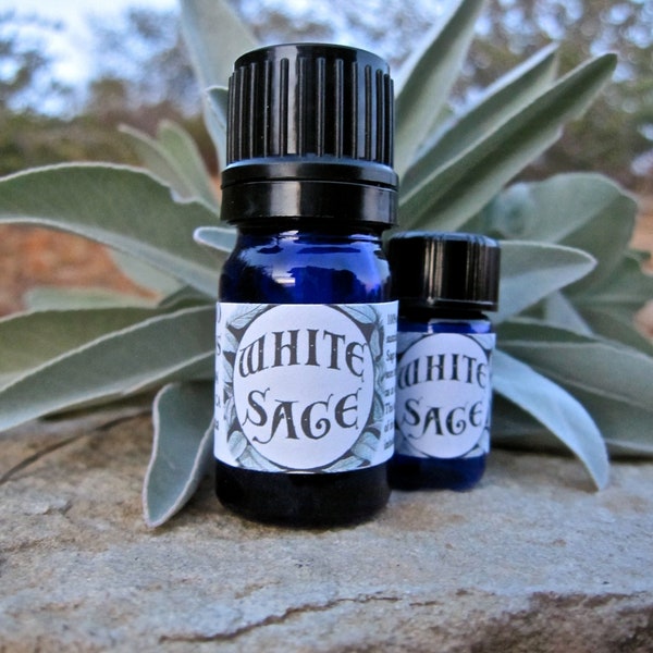 White Sage Essential Oil (Salvia Apiana) Wildcrafted