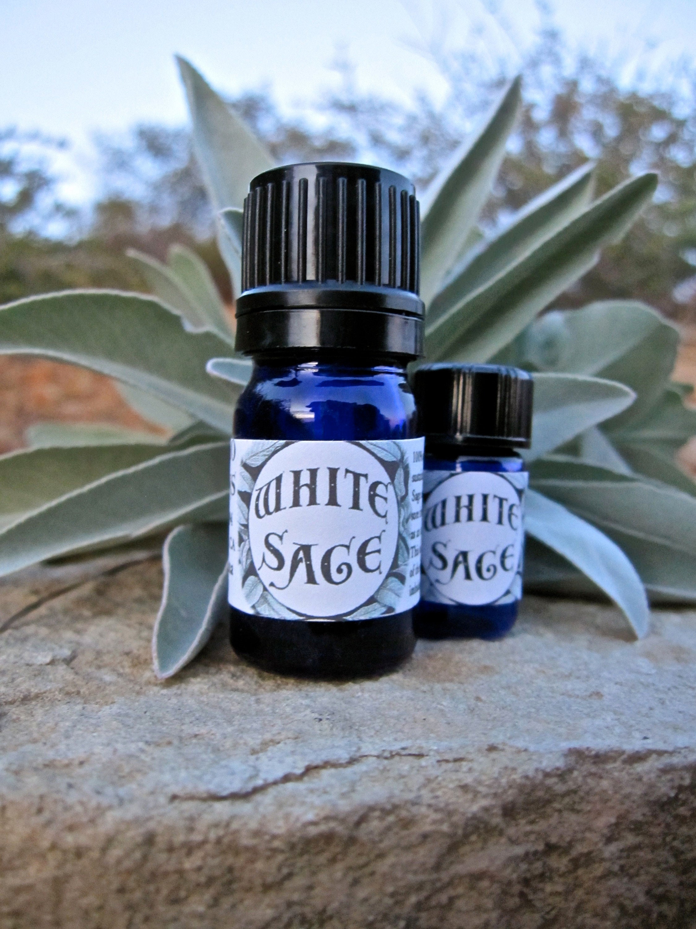 Four Directions Essential Oil Blend / White Sage Cedar Sweetgrass and Tobacco  Essential Oils Medicine Wheel Cleansing Protection Spiritual 