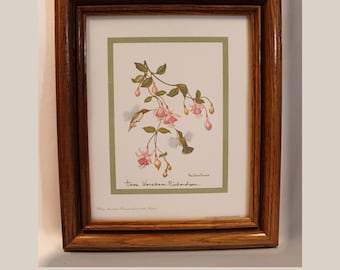 Hummingbirds Lithograph Framed with Handwritten Dedication Vintage ANNE WORSHAM RICHARDSON