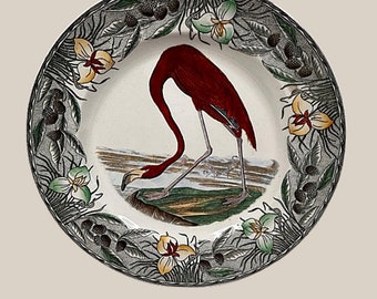Audubon Flamingo Plate by William Adams