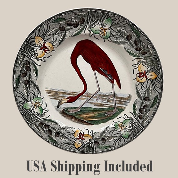 Antique WILLIAM ADAMS England AUDUBON Flamingo Plate 10 Inches