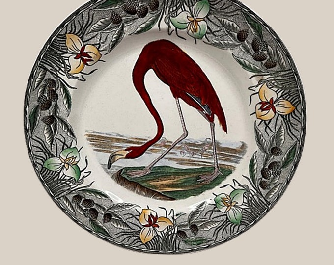 Featured listing image: Antique WILLIAM ADAMS England AUDUBON Flamingo Plate 10 Inches