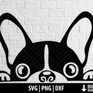 Buldogue francês svg, espreitando clipart de cachorro de estimação francês png dxf, arquivo fofo para impressão cricut, download digital de sublimação de silhueta