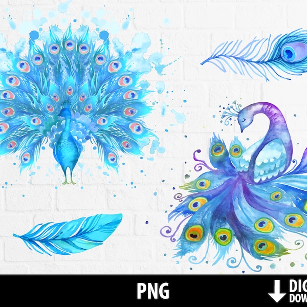 Watercolor peacock clipart, peacock feathers png, hand drawn printable file, sublimation, paint splatters, digital download