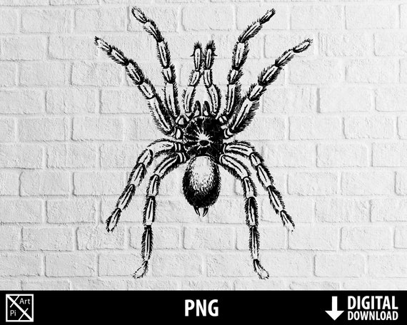 Halloween Spider Printable 2022 Tarantula Png Hairy Spider Clipart Halloween Horror Scary Etsy India