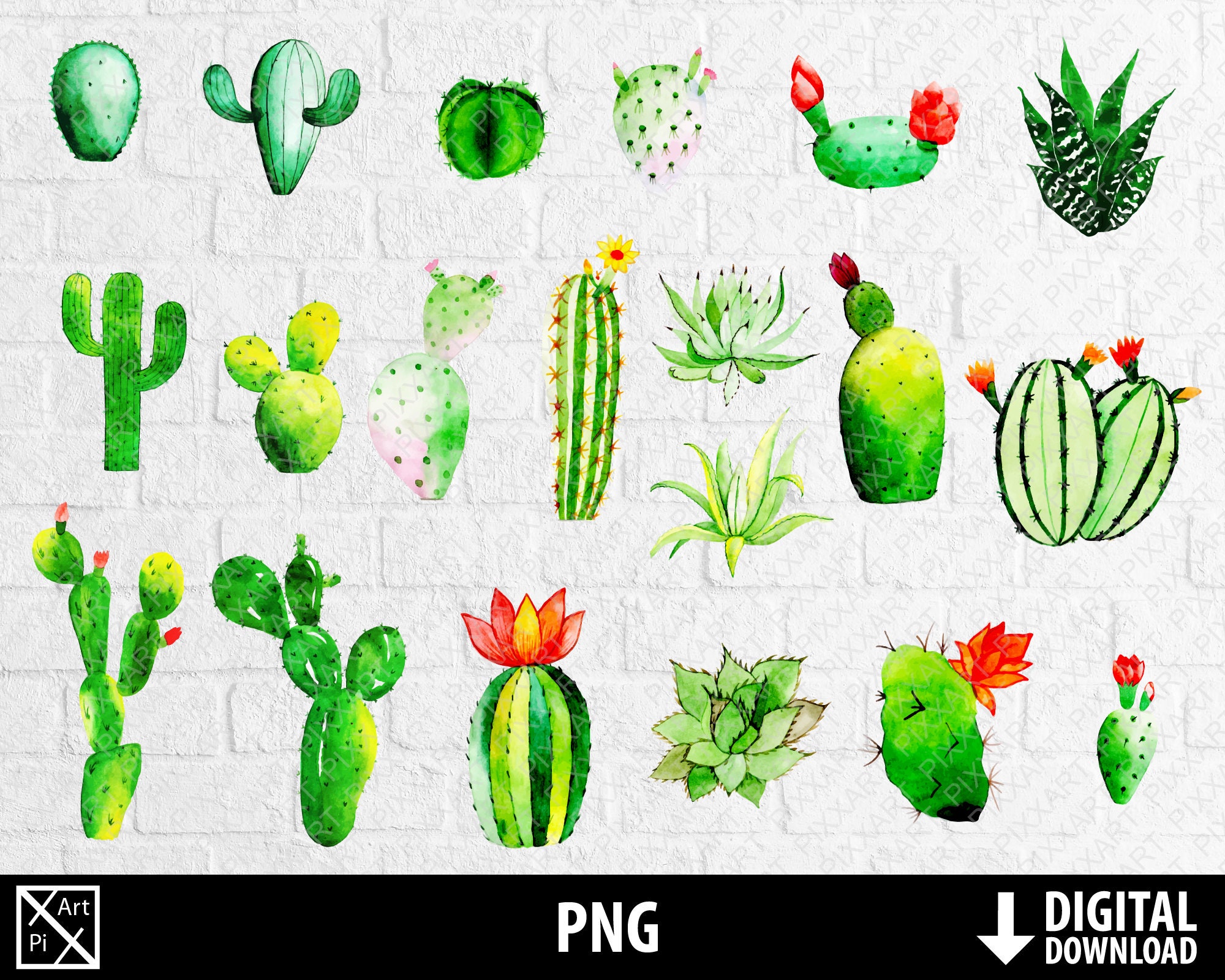 Download Watercolor Cactus Succulents Clipart Cacti Png Hand Drawn Etsy