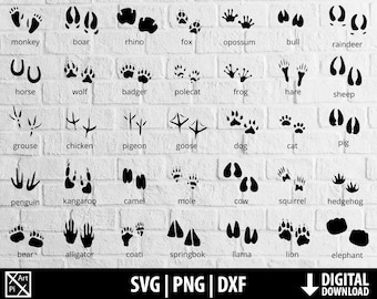 Animal footprints svg, wild animal tracks svg png dxf, paws clipart, printable cut file cricut cameo silhouette sublimation digital download