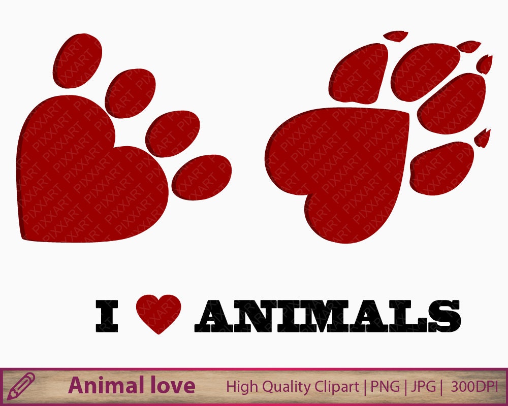 лапы и сердца домодедово