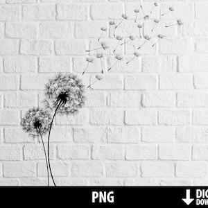 Löwenzahn Png, realistische Löwenzahn Clipart, Unkrautsamen, printable Sublimation, Heat Transfer Aufbügeln, digitaler Download