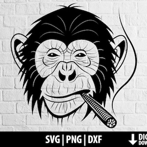 Rauchen Affe Svg, Zigarette gemeinsame Cannabis Marihuana Unkraut Svg Png Dxf Clipart geschnitten Datei Cricut Kamee Silhouette digitaler Download