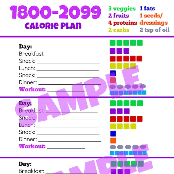 1800-2099 Calorie Diet Planner - Tally Sheet PDF Printable Worksheet with Day Planner to Log Portion Control Container Count for 3 Days