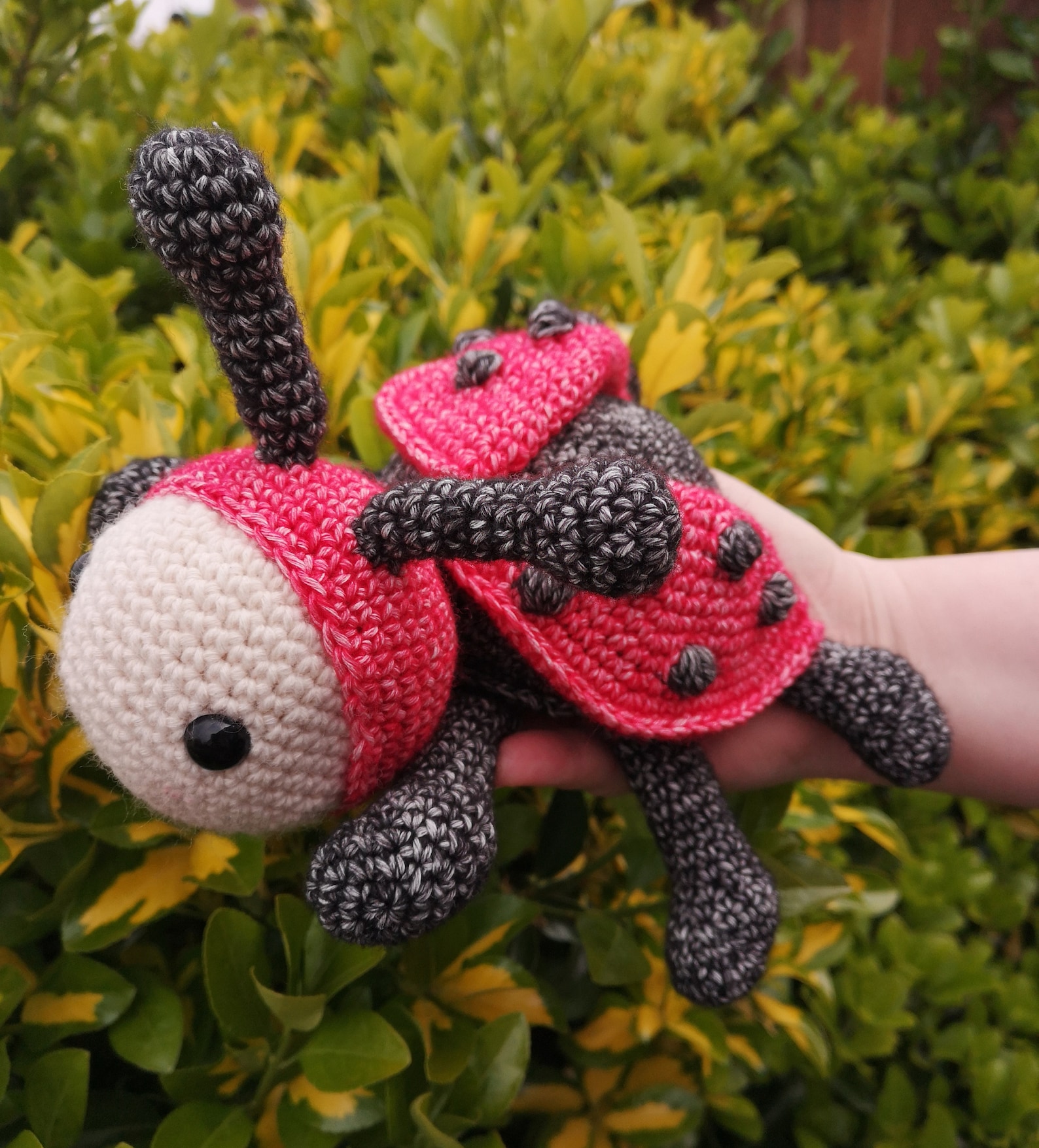 Ladybird Crochet Pattern PATTERN ONLY. Amigurumi Ladybird Etsy