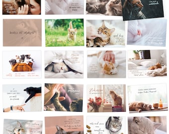 20 Postkarten Set: Katzen mit schönen Sprüchen – Jede Postkarte ein Motiv voll Freude & Augenzwinkern. Für Katzenmenschen + Katzenliebhaber