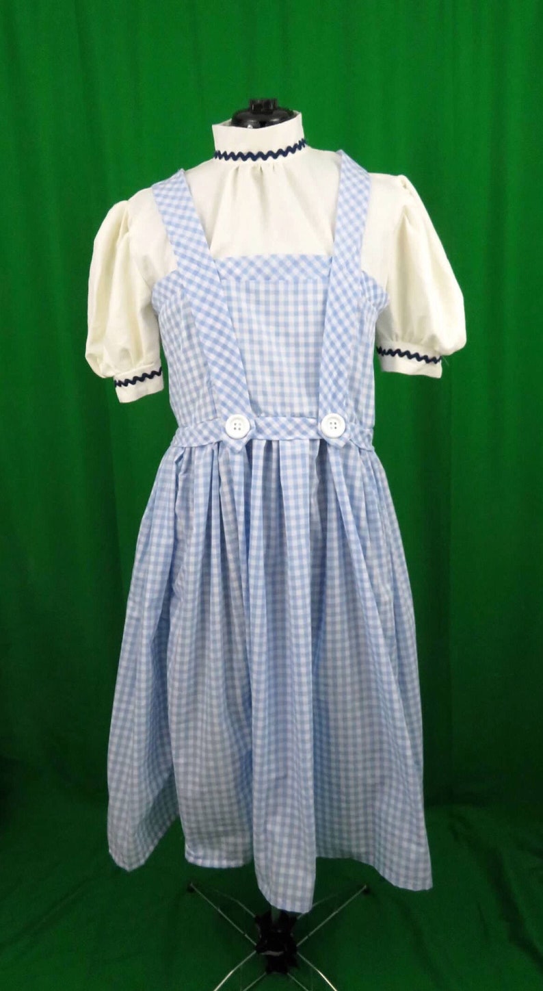 Farm Girl Inspired Blue & White Checkered Dress Costume - Etsy Ireland