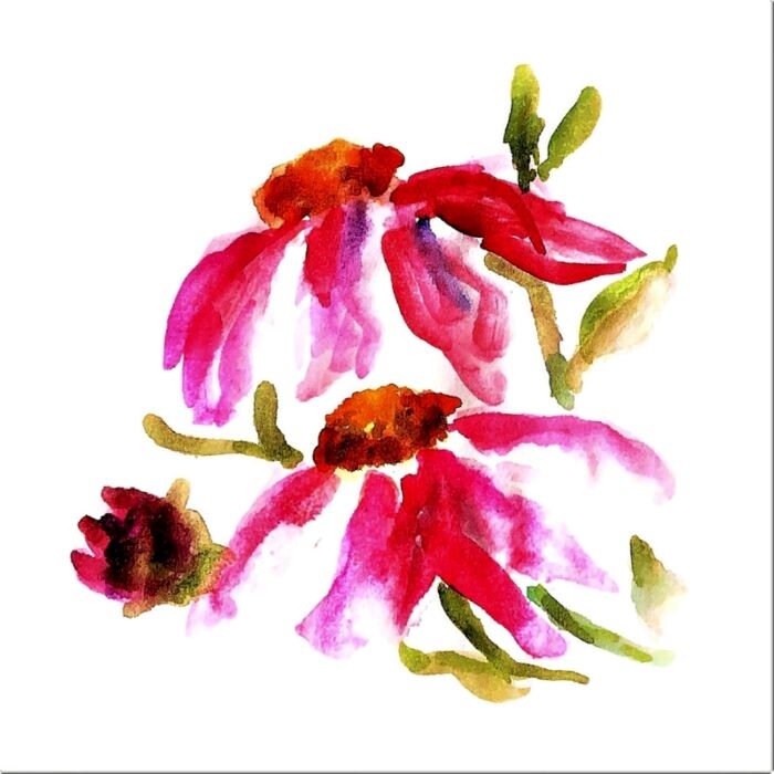Coneflowers Painting Printable Watercolor Floral Print - Etsy