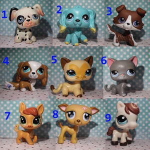CUSTOM ORDER COMMISSION Lps Design your own Littlest Pet Shop!