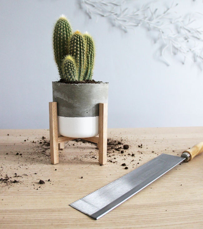 Pot en Ciment et Support Chêne Massif