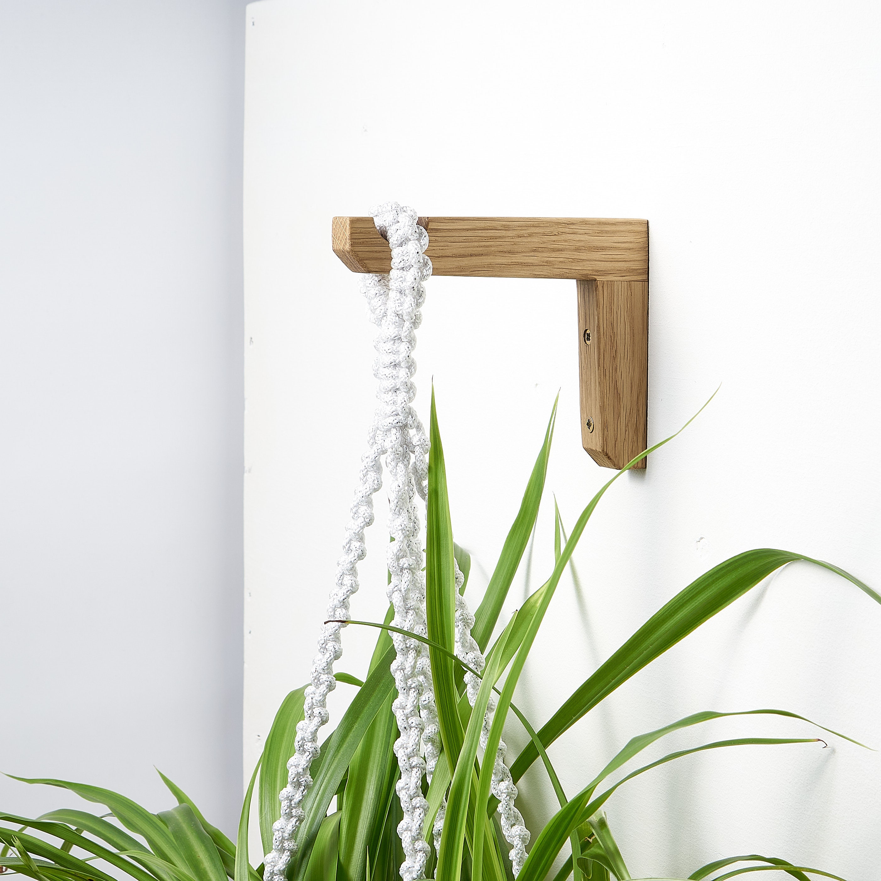 Wooden Plant Hook for Wall Indoor - Etsy