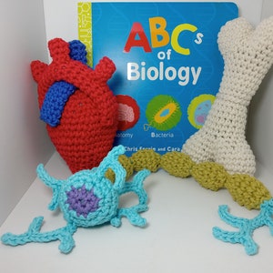 May include: Crocheted anatomical models of a heart, bone, and neuron, with a book titled "ABCs of Biology" in the background.