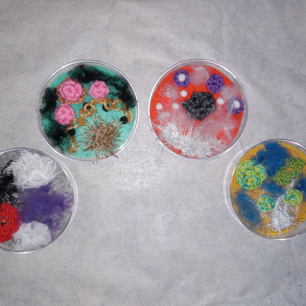 Handmade "Incubated" Petri Dish, Mold and Fungi!