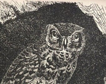 Small Owl print Looking out at the world. For your Aviary. Available in several sizes. Black and white image. Wall Art.