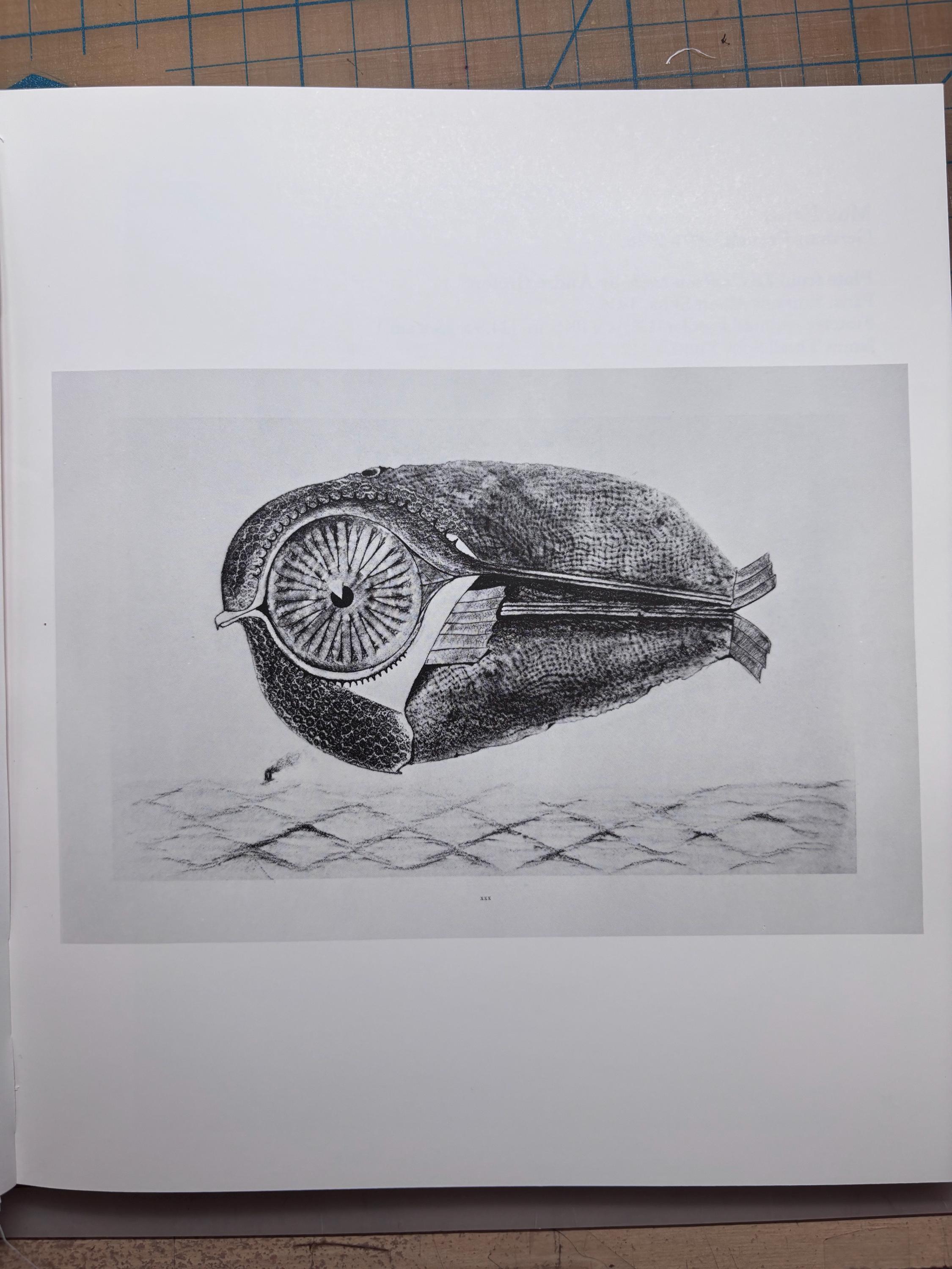 「限定1200部No.847 Max Ernst 自然の歴史 函付」 Max Ernst, the Fugitive (l'Évadé) From Natural History (histoire