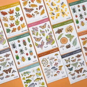 Adesivos de besouros de animais selvagens, adesivos de criaturas da floresta, adesivos de abelhas, borboletas, mariposas e cogumelos | BBB Supplies | R-RRB-S001