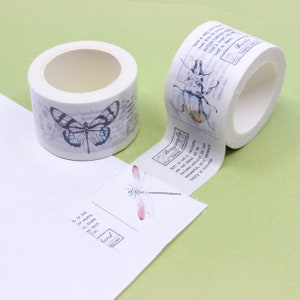 Entomologist Insect Washi Tape, Zoology Science Tape, Wide Butterfly Tapes, Beetle Washi, Bug Stickers & Tapes | BBB Supplies | R-GH1505