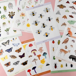 Adesivos de besouros de animais selvagens, adesivos de criaturas da floresta, adesivos de abelhas, borboletas, mariposas e cogumelos | BBB Supplies | R-RGW-ST