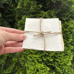 Survivor Hidden Immunity Idol Rules Parchment - Etsy