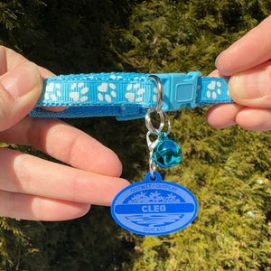 May include: Blue dog collar with white paw prints and a blue and silver tag that says "Outwit Outplay Outlast" and "Cleo".