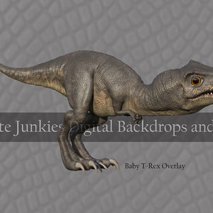Baby Tyrannosaurus Rex Overlay PNG - Sobreposição de dinossauro - Trex Png {PREMIUM}