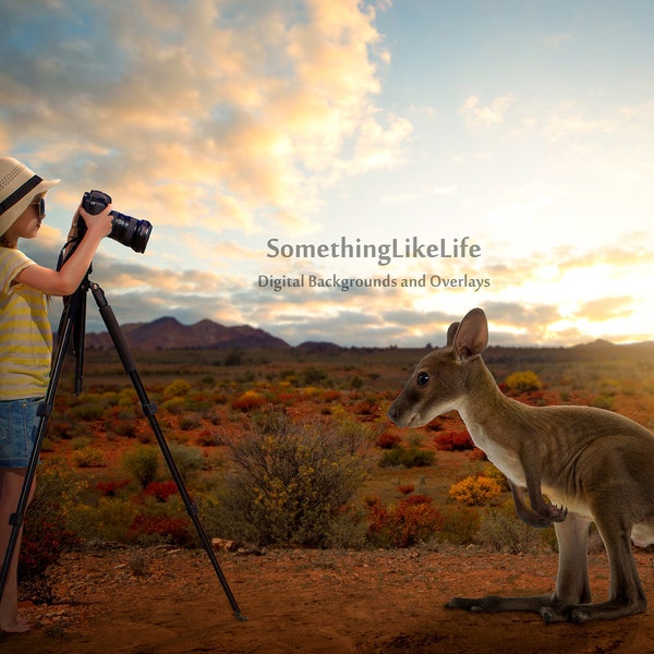 Kangaroo Digital Background | The Outback | Australia {PREMIUM}