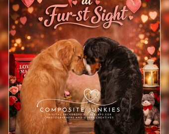 Love at Fursight Digital Backdrop | Valentine Pet Photo Background | JPEG + Font Overlay