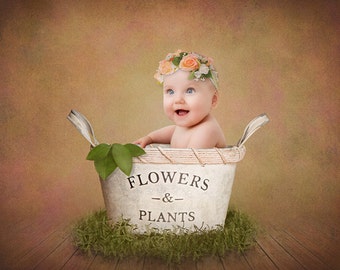 CLEARANCE Digital background backdrop newborn baby spring flowers plants pot